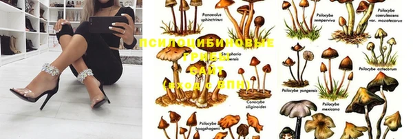 круглые Алексин