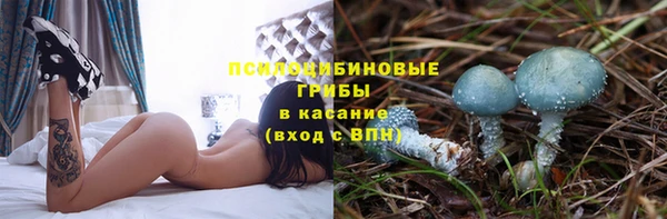 круглые Алексин