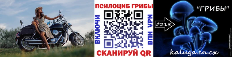 купить   МЕГА как зайти  Галлюциногенные грибы MAGIC MUSHROOMS  Аргун 